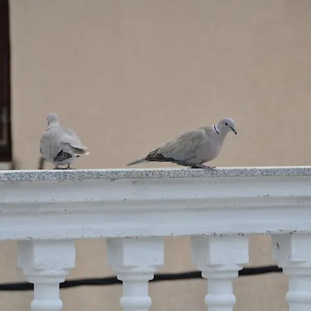 Blue Sky * Primošten