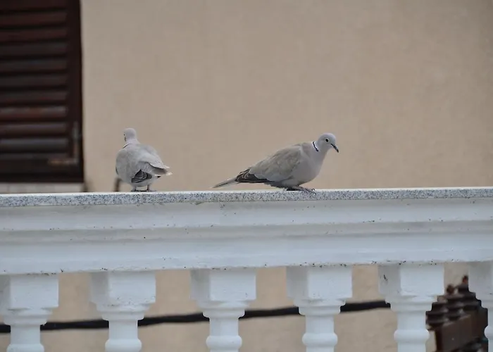 Blue Sky * Primošten